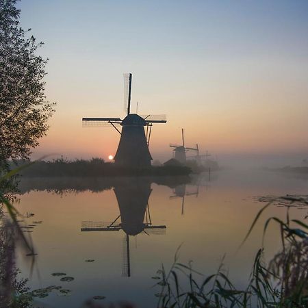 B & B Meet The Dutch Ridderkerk Exteriör bild