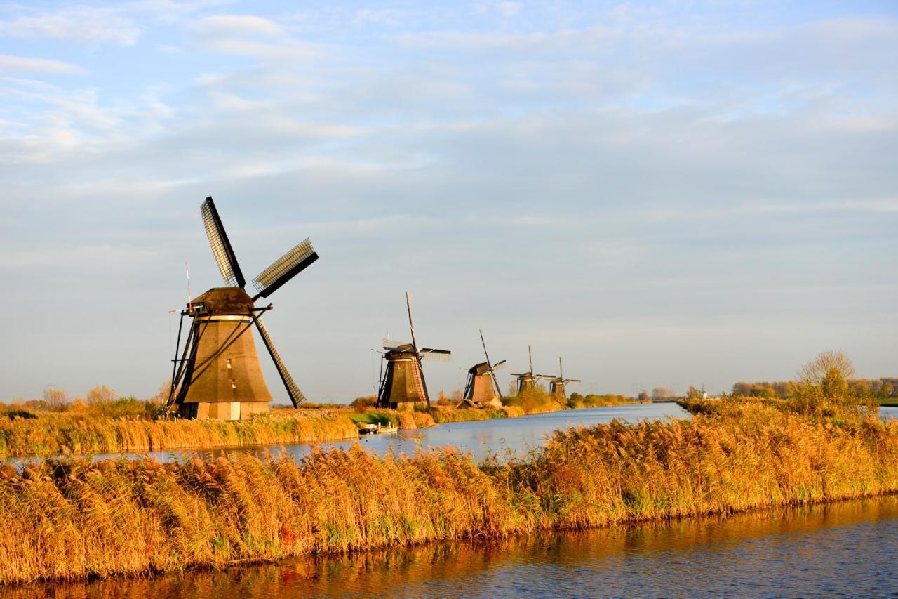 B & B Meet The Dutch Ridderkerk Exteriör bild